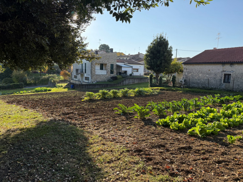 TERRENO EDIFICABILE IN POSIZIONE COLLINARE PER UNA VILLA SINGOLA O BIFAMILIARE. EURO 100.000. COD...