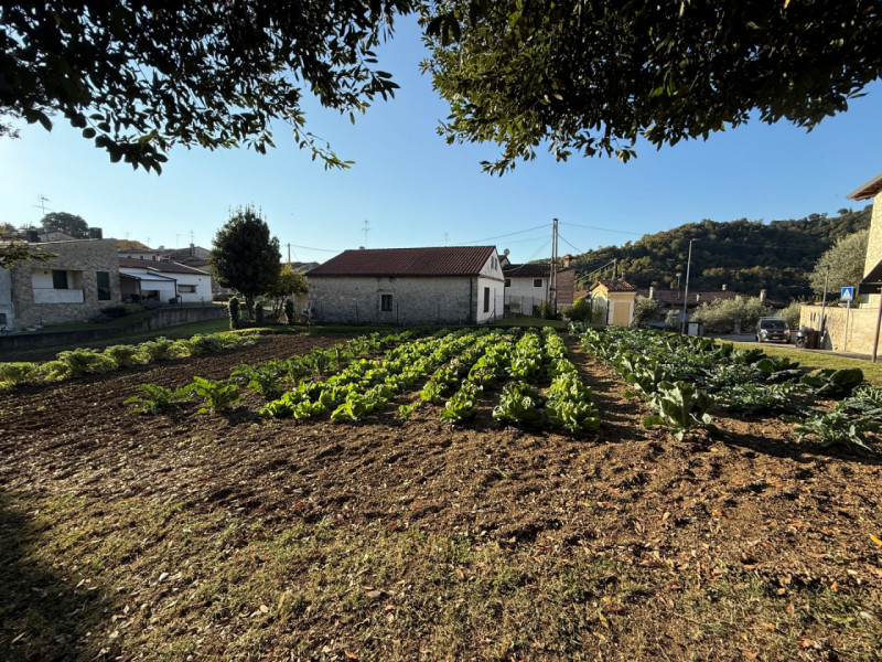 TERRENO EDIFICABILE IN POSIZIONE COLLINARE PER UNA VILLA SINGOLA O BIFAMILIARE. EURO 100.000. COD...