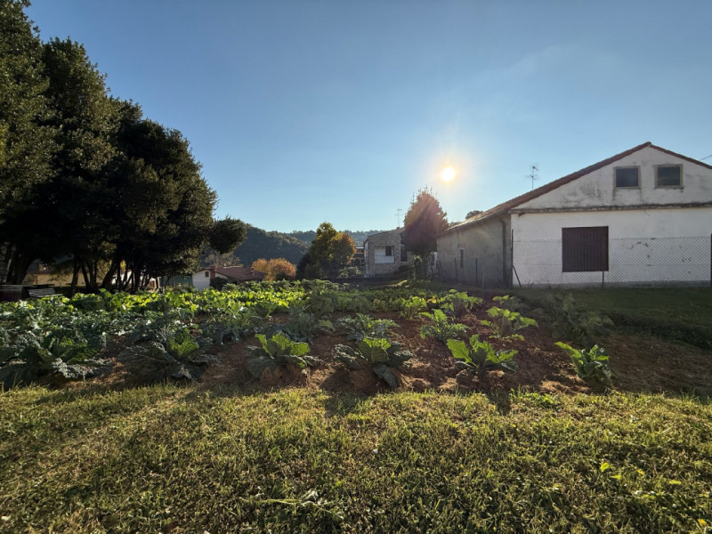 TERRENO EDIFICABILE IN POSIZIONE COLLINARE PER UNA VILLA SINGOLA O BIFAMILIARE. EURO 100.000. COD...