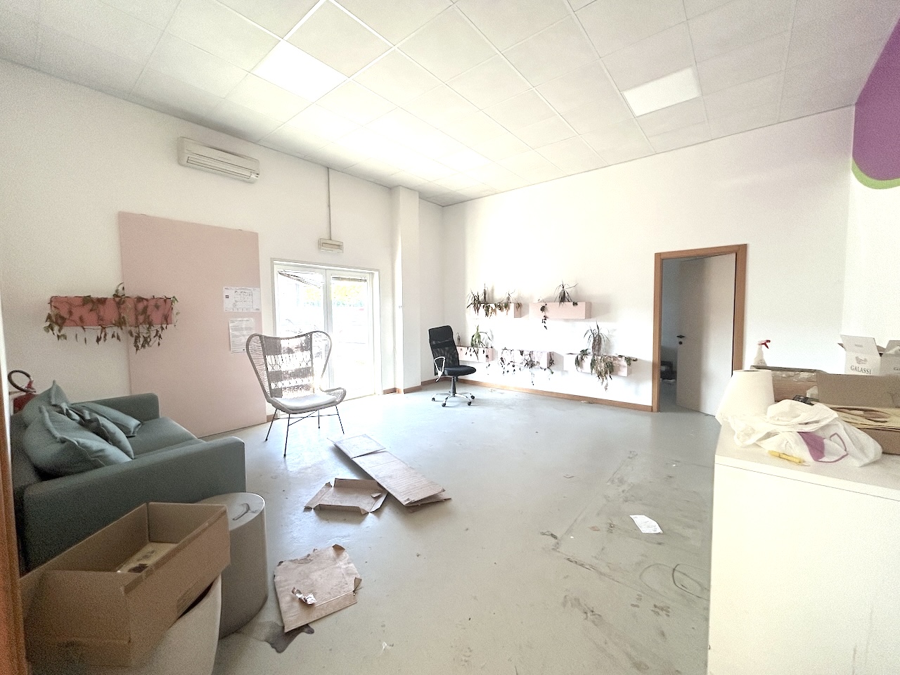 immagine annuncio 4 di 12