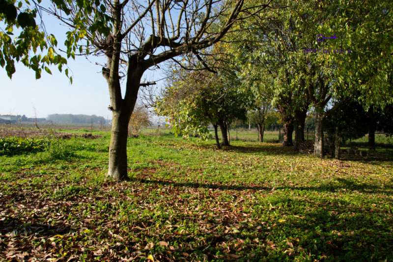 Una casa che ti assomiglia. E che puoi modellare come desideri.
Se stai cercando un posto dove re...