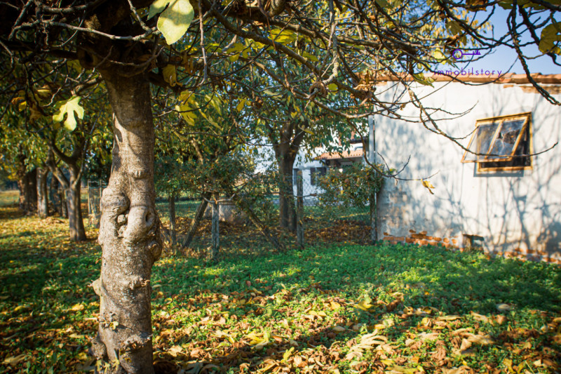 Una casa che ti assomiglia. E che puoi modellare come desideri.
Se stai cercando un posto dove re...