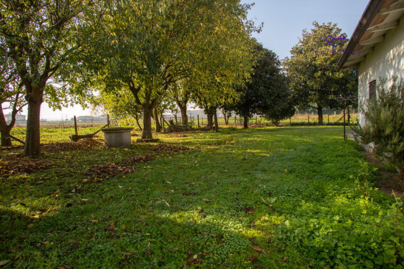 Una casa che ti assomiglia. E che puoi modellare come desideri.
Se stai cercando un posto dove re...