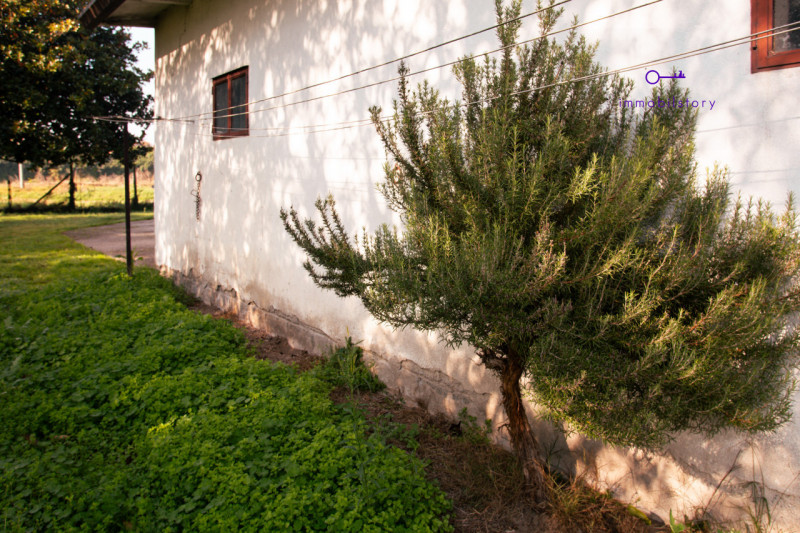 Una casa che ti assomiglia. E che puoi modellare come desideri.
Se stai cercando un posto dove re...