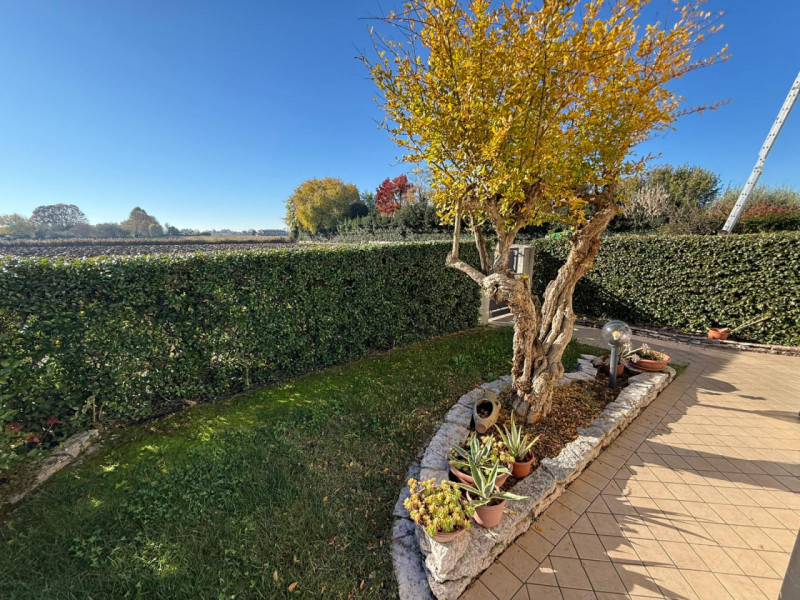 In tranquilla zona residenziale proponiamo bifamiliare recente e altamente efficiente, sviluppata...