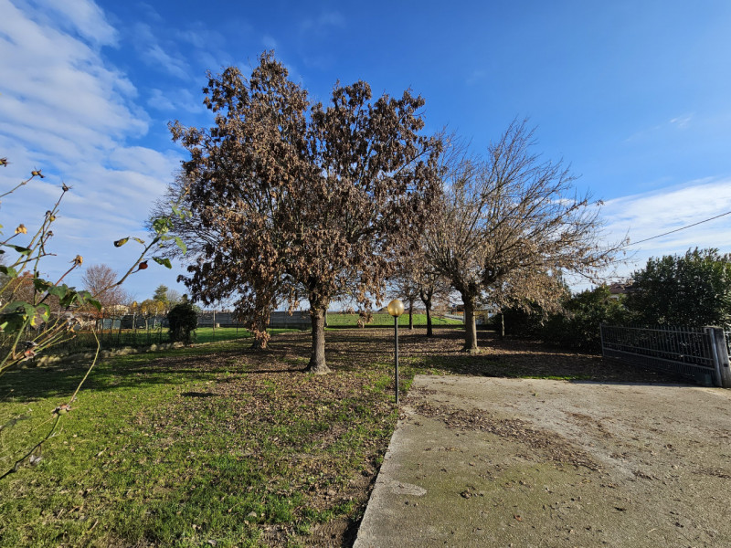 Proponiamo in vendita a Urbana, località San Salvaro, spaziosa abitazione accostata, situata in u...
