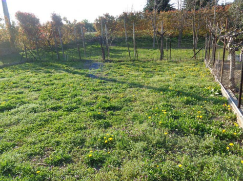 Rif. A.A.261-11

Vendita all'asta - fabbricato residenziale su 2 livelli in data 29 gennaio 2026
...