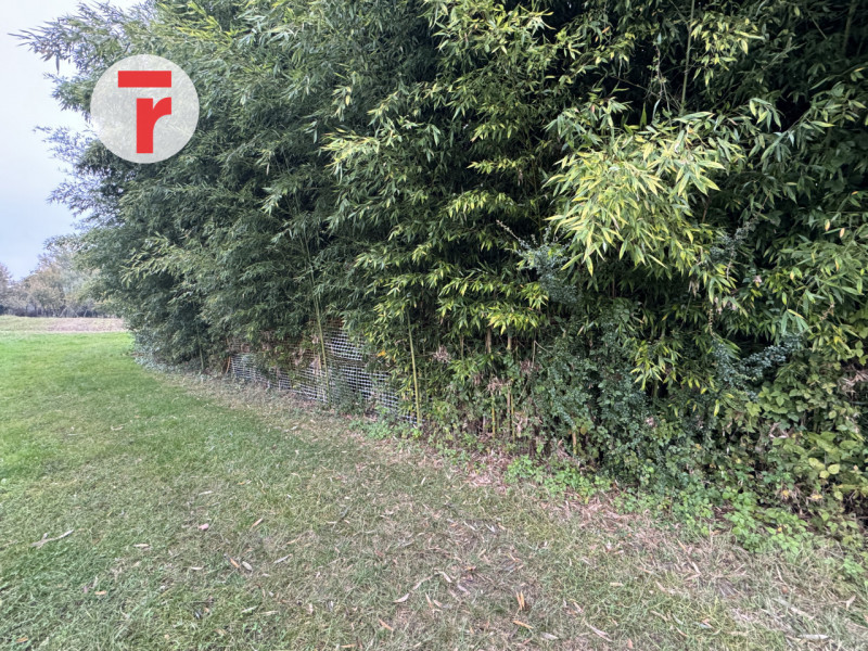 RESANA - loc.Castelminio - Opportunità per impresa o per famiglie. Zona immersa nel verde e strat...