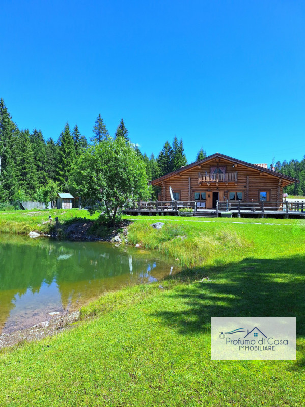 COMELICO SUPERIORE - Vi proponiamo in esclusiva uno splendido Chalet con vista sulle montagne, st...