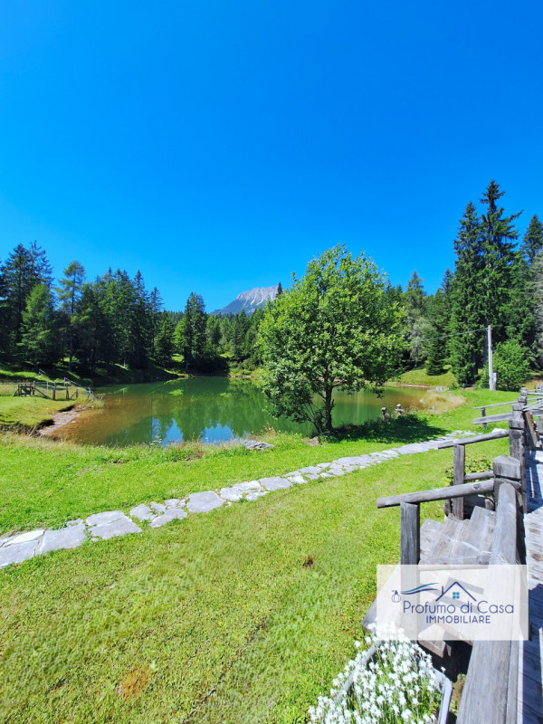 COMELICO SUPERIORE - Vi proponiamo in esclusiva uno splendido Chalet con vista sulle montagne, st...
