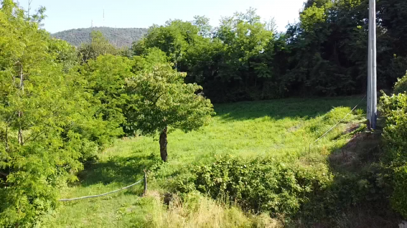 Posizione esclusiva
Terreno edificabile di ca. 1.700 m² in una piccola lottizzazione a circa 100 ...