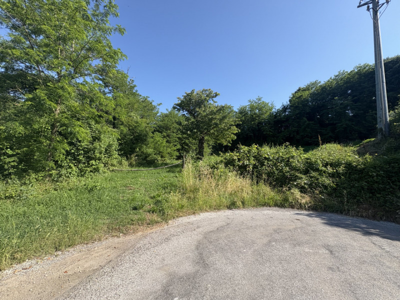 Posizione esclusiva
Terreno edificabile di ca. 1.700 m² in una piccola lottizzazione a circa 100 ...