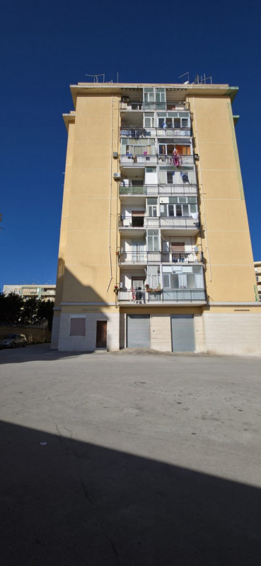Immagine 2
