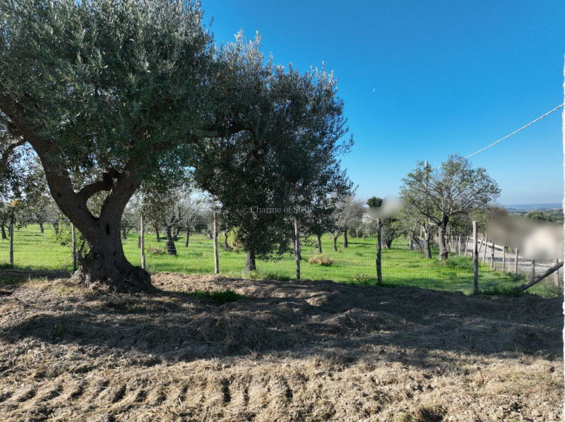 immagine annuncio 10 di 13