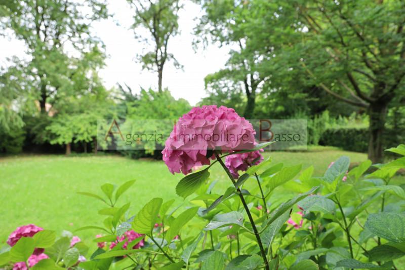 PADOVA zona Forcellini:  Agenzia Immobiliare Basso, propone in vendita, incantevole porzione di v...