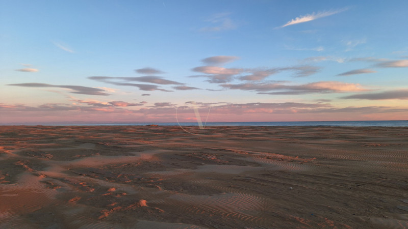 ZONA PIAZZA FONTANA: Sta arrivando Natale, ma non riesci a smettere di pensare al sole, al mare e...