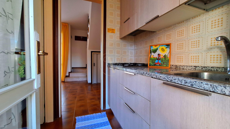 ZONA PIAZZA FONTANA: Sta arrivando Natale, ma non riesci a smettere di pensare al sole, al mare e...