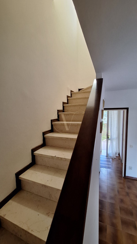 ZONA PIAZZA FONTANA: Sta arrivando Natale, ma non riesci a smettere di pensare al sole, al mare e...