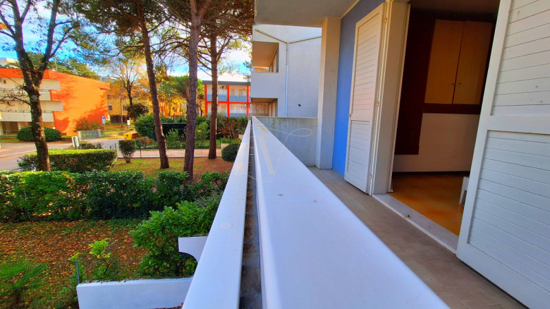 ZONA PIAZZA FONTANA: Sta arrivando Natale, ma non riesci a smettere di pensare al sole, al mare e...