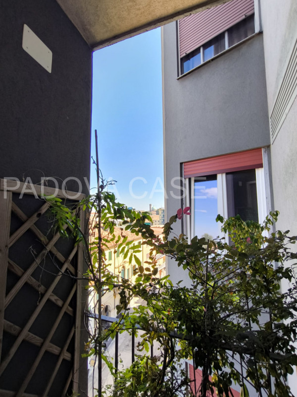 Nel cuore pulsante di Padova, abbracciato dalle affascinanti mura cinquecentesche, proponiamo in ...