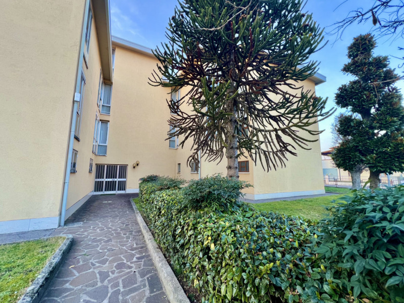 MONTAGNANA, in zona ben servita e comoda tutti i principali servizi al di fuori delle Mura antich...