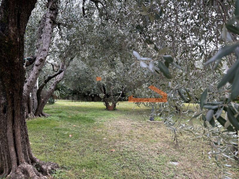 Scopri questa villa singola situata nel cuore di Pove del Grappa, un comune incantevole che offre...