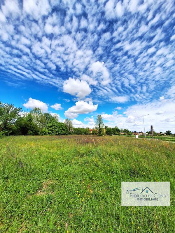 STRA LOC. SAN PIETRO - In ottima posizione, comoda a tutti i principali servizi, proponiamo terre...