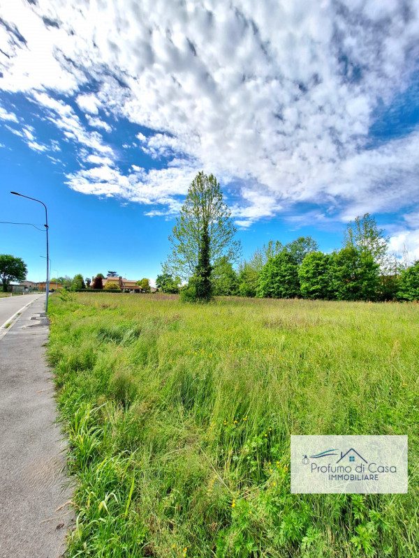 STRA LOC. SAN PIETRO - In ottima posizione, comoda a tutti i principali servizi, proponiamo terre...