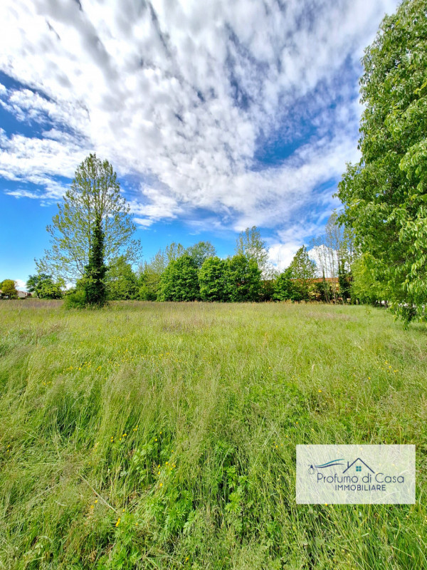 STRA LOC. SAN PIETRO - In ottima posizione, comoda a tutti i principali servizi, proponiamo terre...