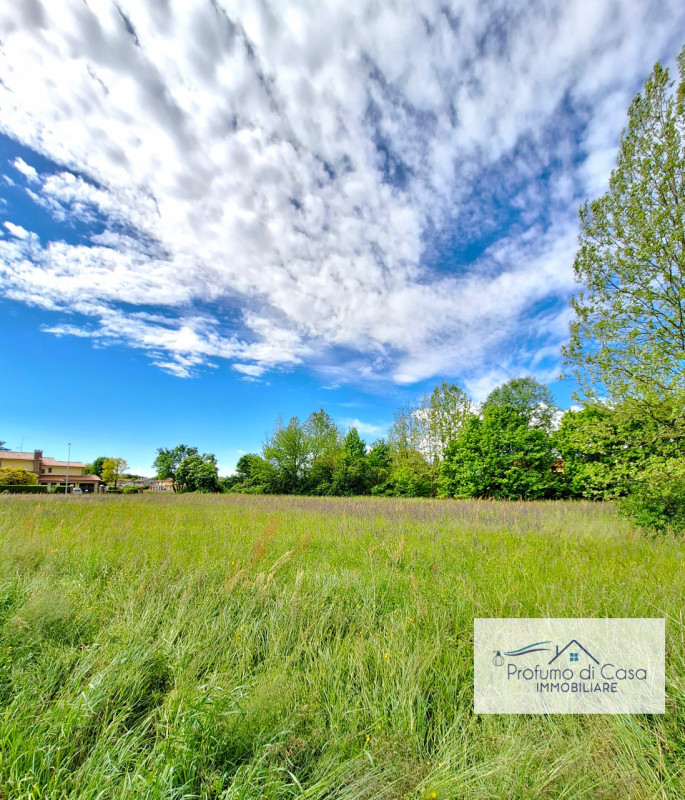 STRA LOC. SAN PIETRO - In ottima posizione, comoda a tutti i principali servizi, proponiamo terre...