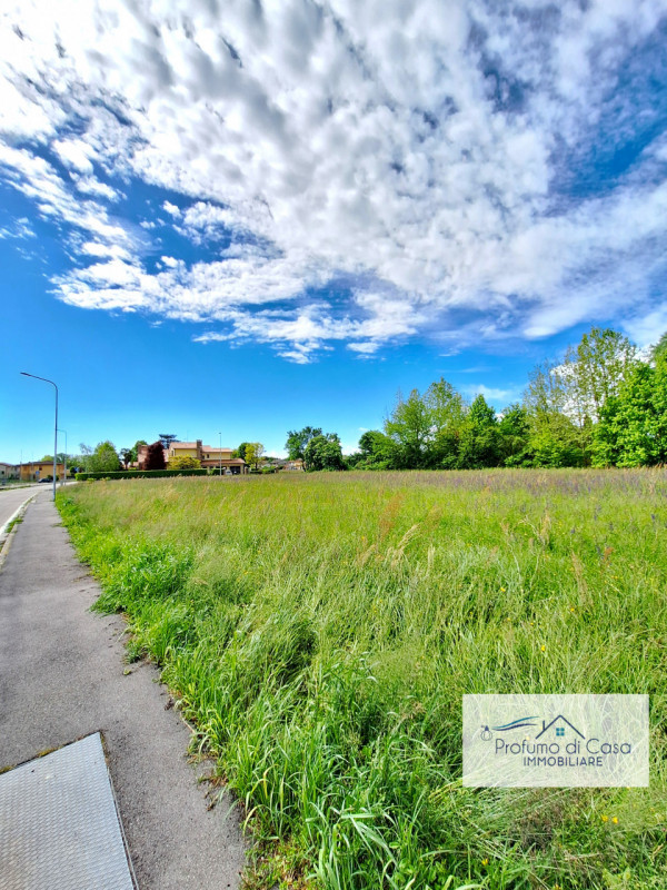 STRA LOC. SAN PIETRO - In ottima posizione, comoda a tutti i principali servizi, proponiamo terre...