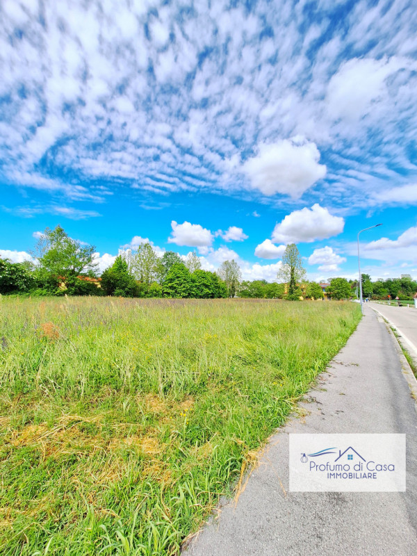 STRA LOC. SAN PIETRO - In ottima posizione, comoda a tutti i principali servizi, proponiamo terre...