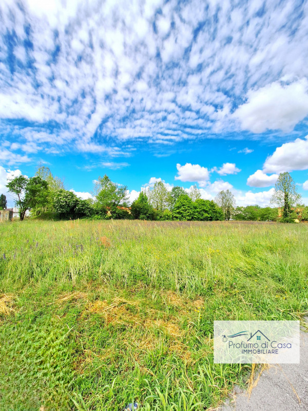 STRA LOC. SAN PIETRO - In ottima posizione, comoda a tutti i principali servizi, proponiamo terre...