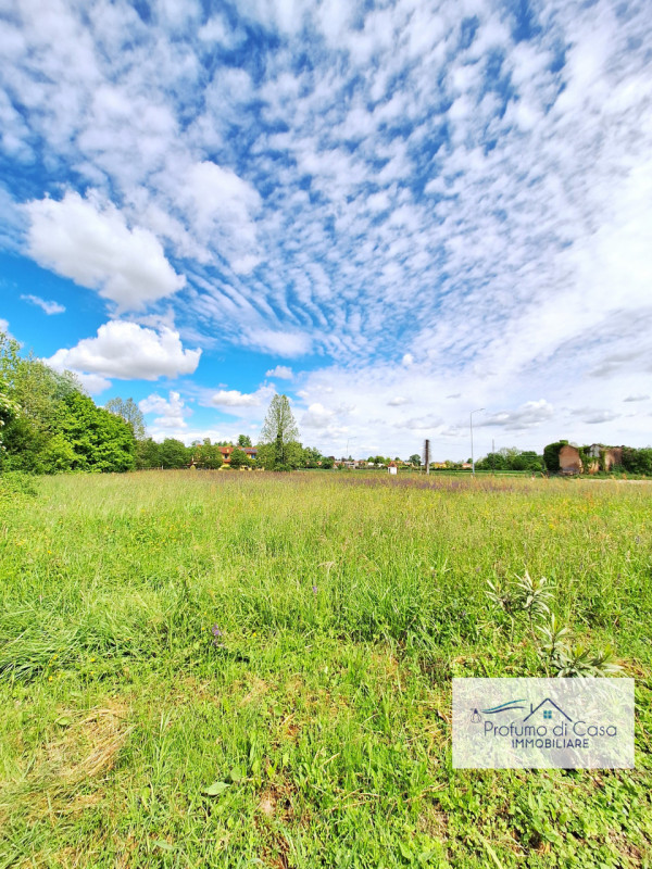 STRA LOC. SAN PIETRO - In ottima posizione, comoda a tutti i principali servizi, proponiamo terre...