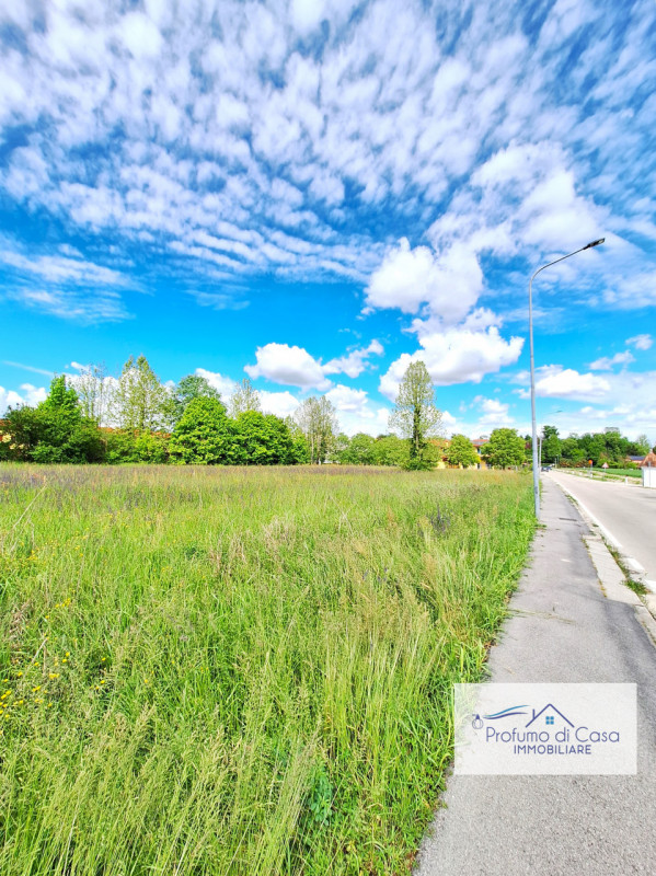 STRA LOC. SAN PIETRO - In ottima posizione, comoda a tutti i principali servizi, proponiamo terre...