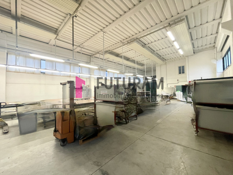 RIF: 199NM - TERRASSA PADOVANA (PD) - PER INFO 340 335 8378 - 0444/310220

Propongo in vendita un...