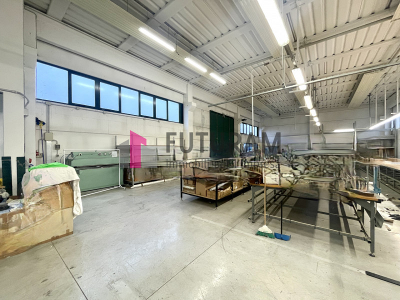 RIF: 199NM - TERRASSA PADOVANA (PD) - PER INFO 340 335 8378 - 0444/310220

Propongo in vendita un...