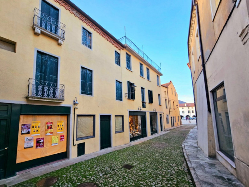 In un palazzetto storico del centro di Monselice, nella bellissima Piazza Giuseppe Mazzini, propo...
