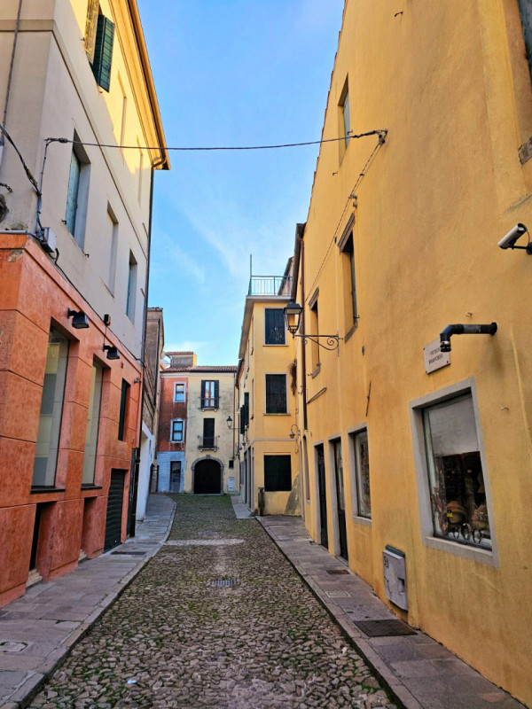 In un palazzetto storico del centro di Monselice, nella bellissima Piazza Giuseppe Mazzini, propo...