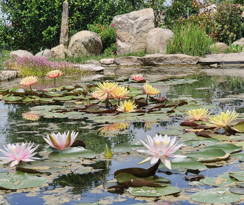 COMPOSIZIONE:
Proponiamo in vendita bellissimo rustico, completamente ristrutturato, armoniosamen...