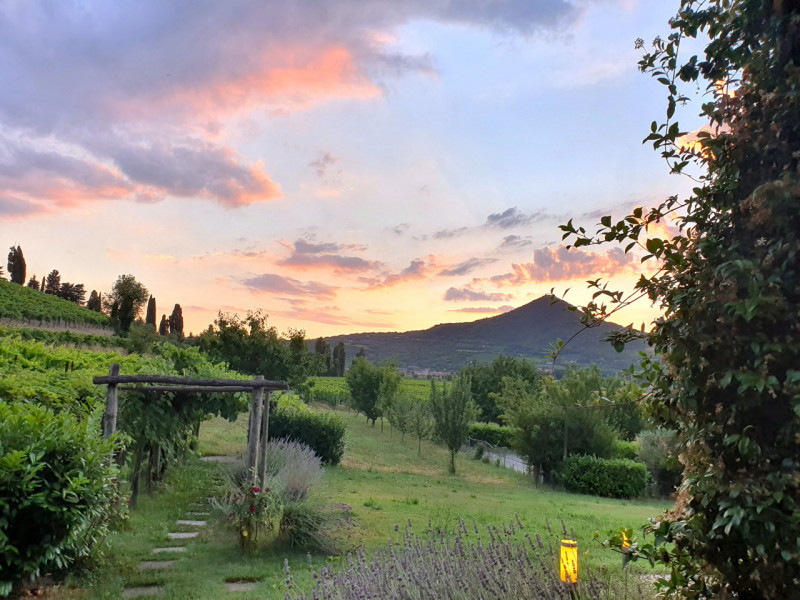 COMPOSIZIONE:
Proponiamo in vendita bellissimo rustico, completamente ristrutturato, armoniosamen...