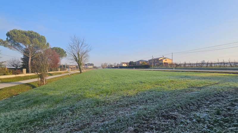 Nel comune di Bovolenta, al confine con Polverara, proponiamo casa singola con ampi spazi esterni...