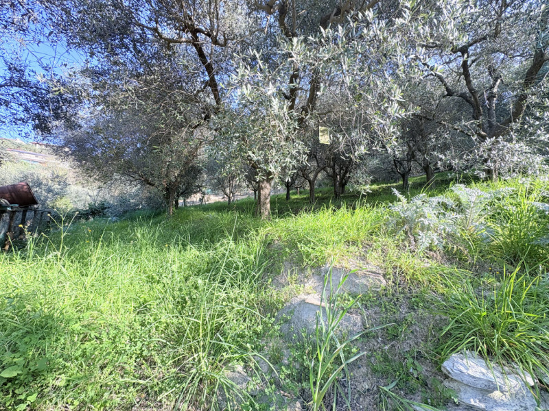Se desideri vivere in un contesto affascinante e ricco di storia, questa abitazione accostata nel...
