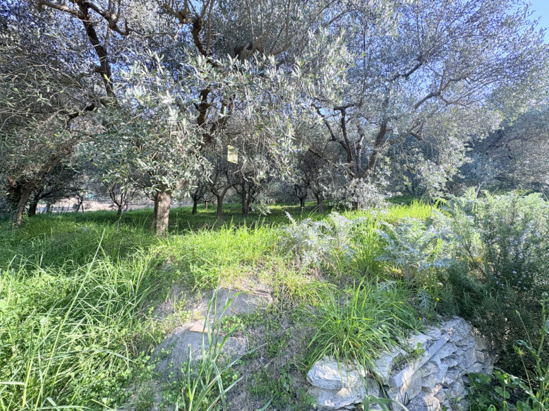 Se desideri vivere in un contesto affascinante e ricco di storia, questa abitazione accostata nel...
