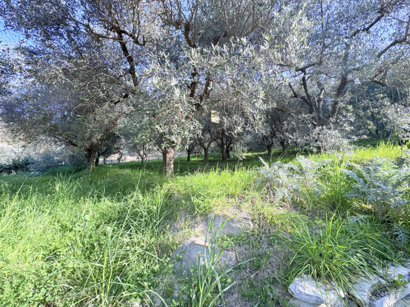 Se desideri vivere in un contesto affascinante e ricco di storia, questa abitazione accostata nel...