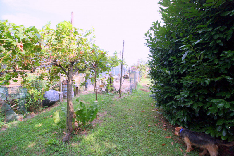 PADOVA - BRUSEGANA

Scopri questa splendida casa CON AMPIO GIARDINO, situata in una tranquilla zo...
