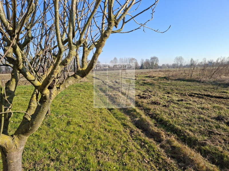 ECCO LA CASA CHE STAVI CERCANDO!!!

A Trebaseleghe proponiamo in vendita soluzione SEMI - INDIPEN...