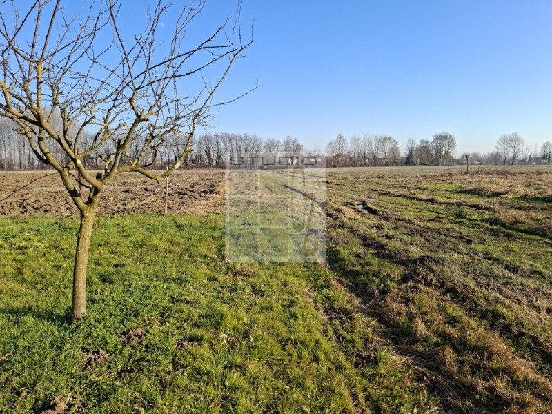 ECCO LA CASA CHE STAVI CERCANDO!!!

A Trebaseleghe proponiamo in vendita soluzione SEMI - INDIPEN...