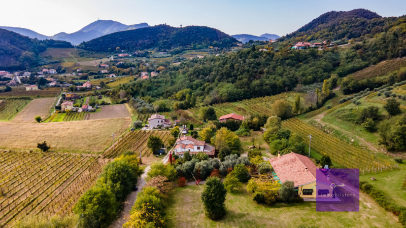 Una casa grande, oggi ristorante

Ci sono immobili che nascono con una funzione precisa
e altri c...
