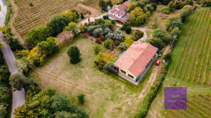 Una casa grande, oggi ristorante

Ci sono immobili che nascono con una funzione precisa
e altri c...